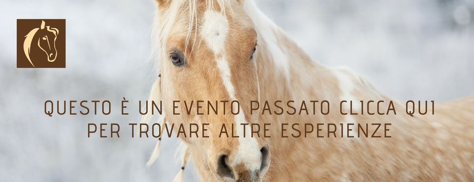 Vecchia esperienza