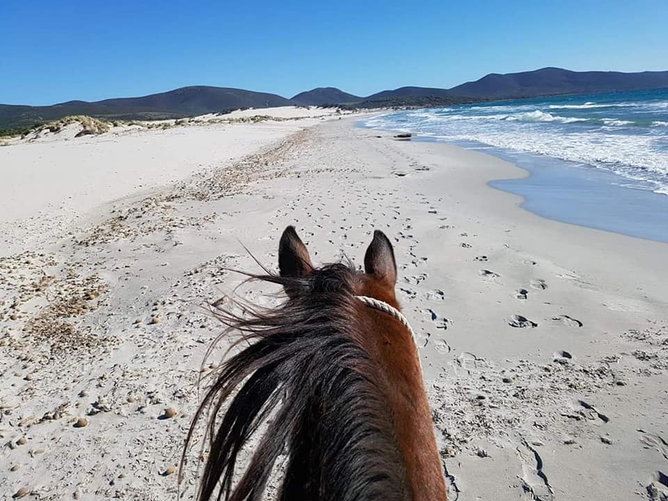 a cavallo nel Sulcis Iglesiente